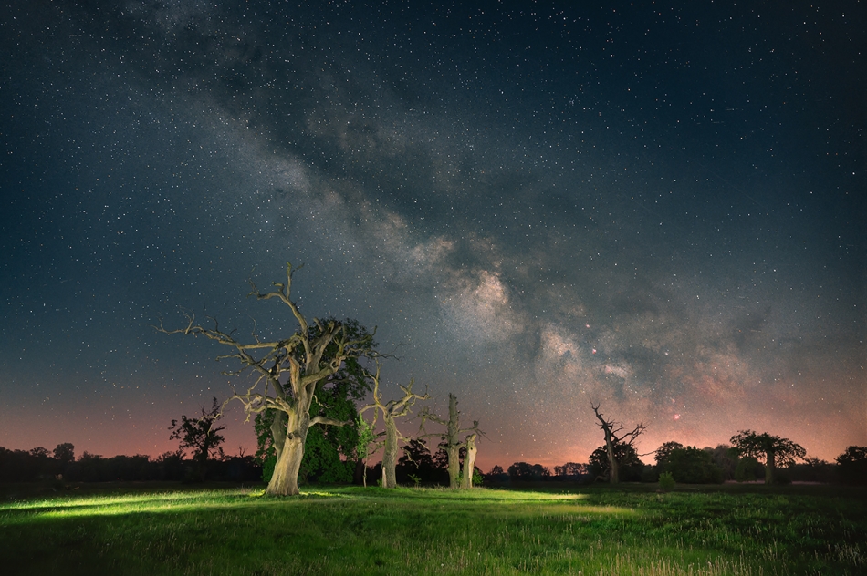 ferb72_ - Rogalin . Majowe podejście do Drogi Mlecznej w Rogalinie. Nikon Z6II Viltrox 24 1,8 Góra z prowadzeniem 10 klatek, f2,8 iso 800, 90sek. składane w DeepSkyStacker. Dół 14 klatek, każda inaczej świecona latarką f4 iso 1600 20sek. Składane w PS. . Z