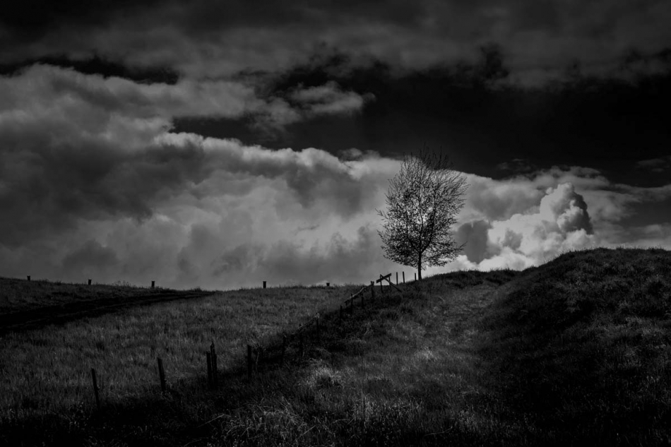 *. . Zdjęcie 336495