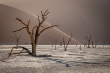 Dead Vlei