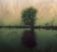 On a green foggy day...