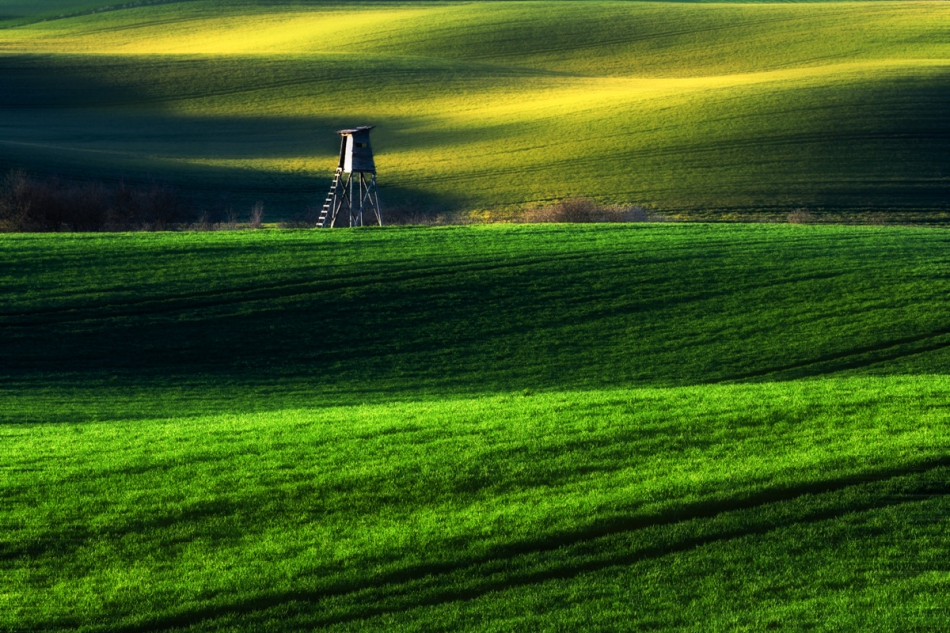 ~~~. . Zdjęcie 264073