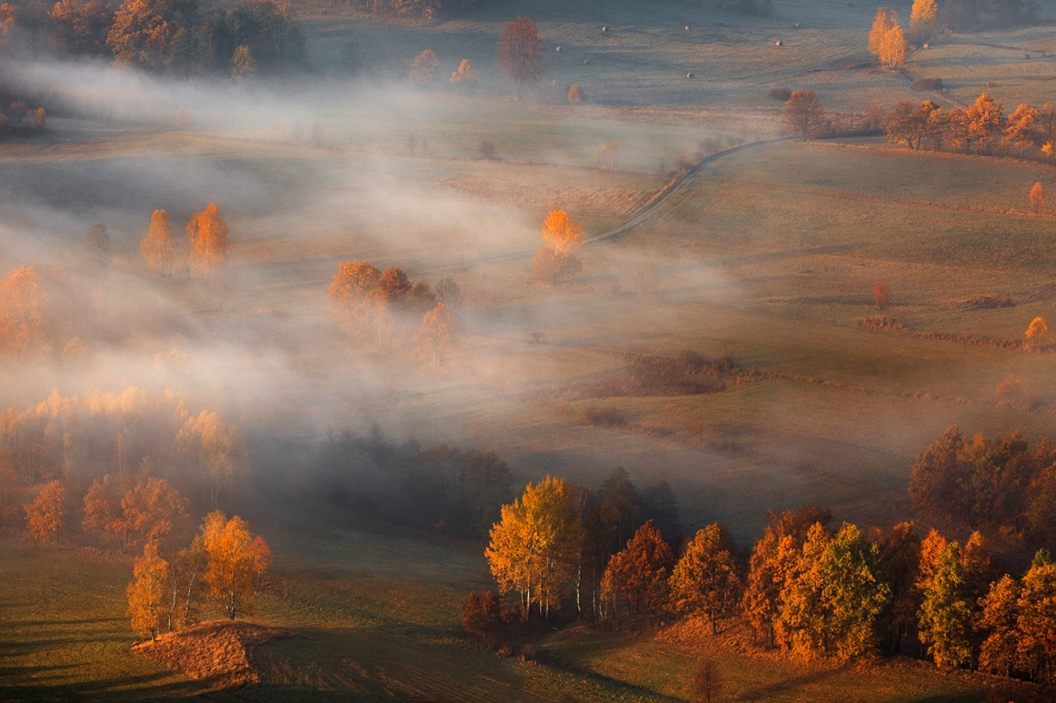 bonnieandclyde - Autumn is A State of Mind. . Zdjęcie 202458