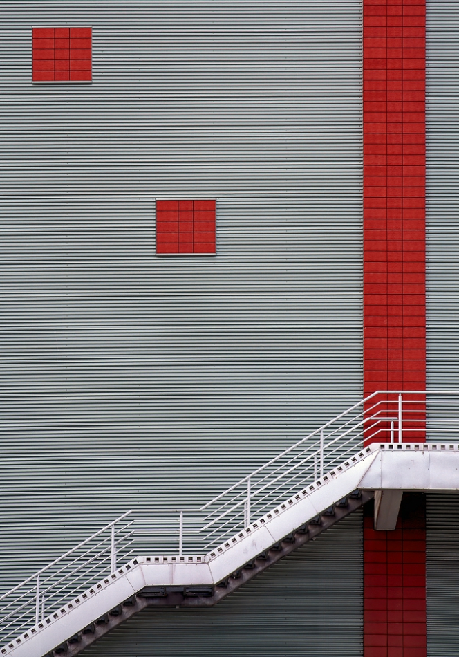tomush - red points. . Zdjęcie 289247