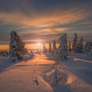 Natural Magic...