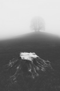  The Presence Of Absence