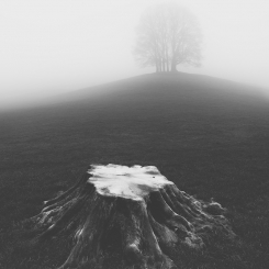  The Presence Of Absence