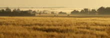 Krokowa