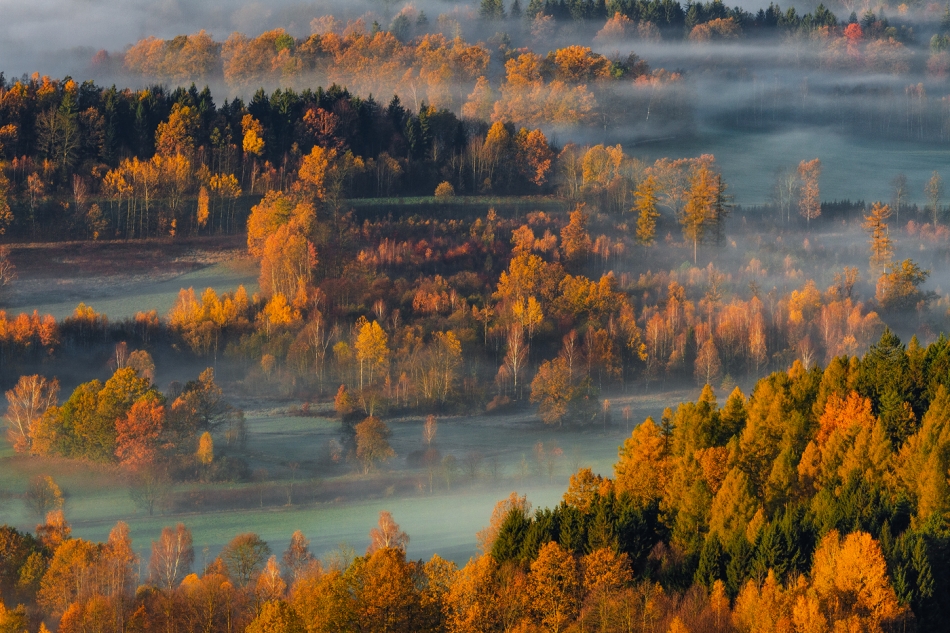bonnieandclyde - Autumn Deluxe.... . Zdjęcie 328519