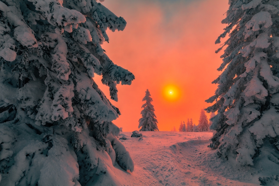 bonnieandclyde - Winter.... . Zdjęcie 326040