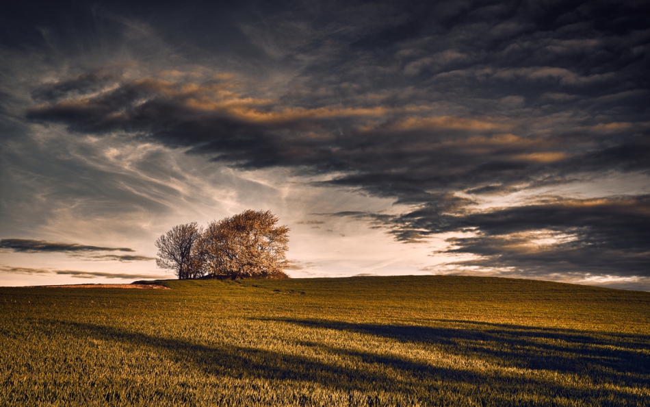 shooter76 - Brak tytułu. . Zdjęcie 288025