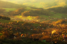 Olszówka