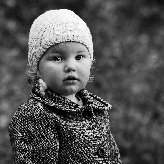 *. . Zdjęcie 104625