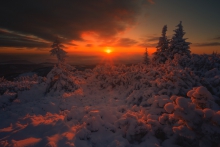 Let There Be Light...