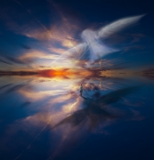 Between Light and Shadow
