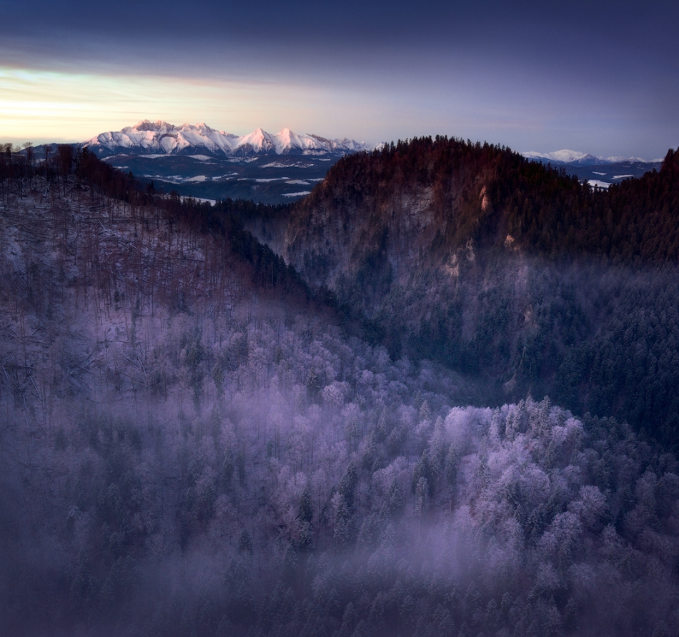 iceflower - W sennych mgłach świtanie. . Zdjęcie 238859
