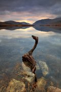 Twilight floating memories