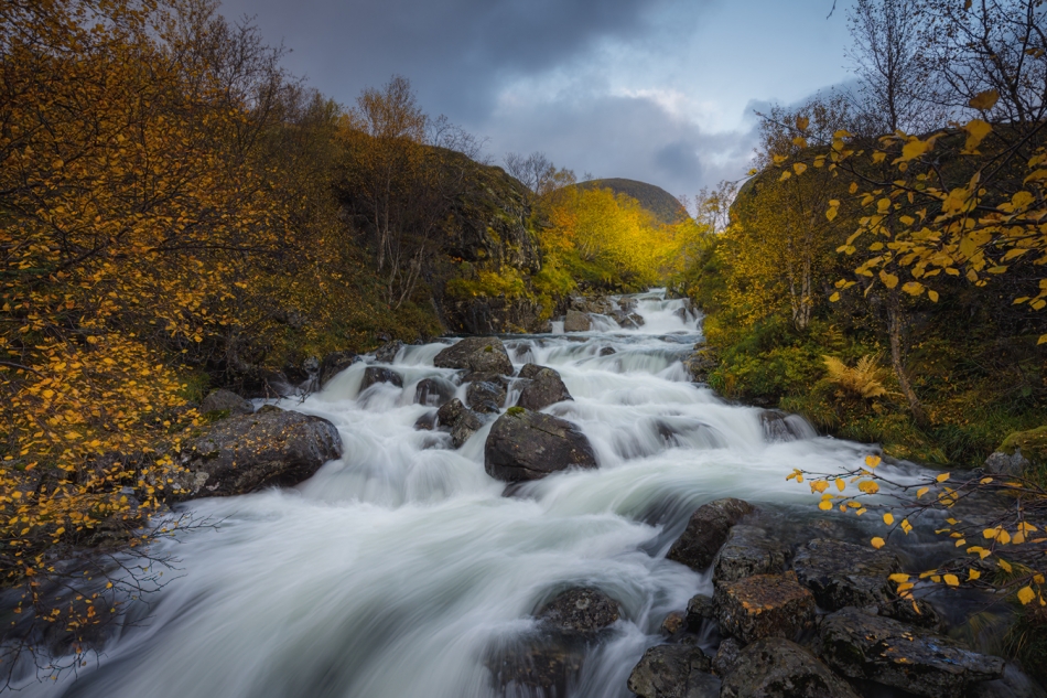 jaskjan - Waterfall in gold. . Zdjęcie 330547