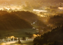 Świtanie