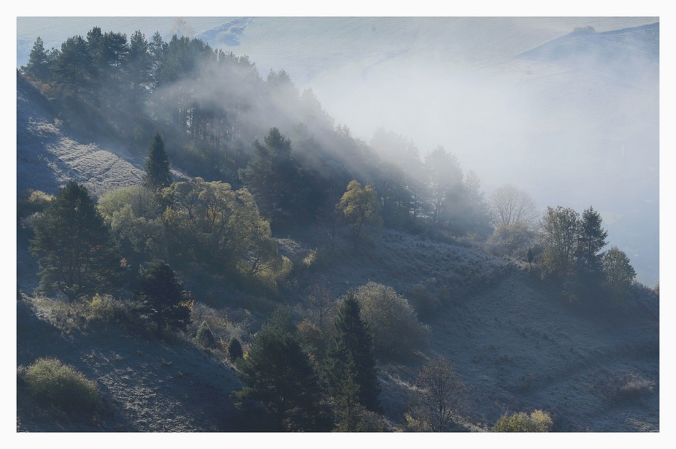 backslash - Brak tytułu. . Zdjęcie 337184