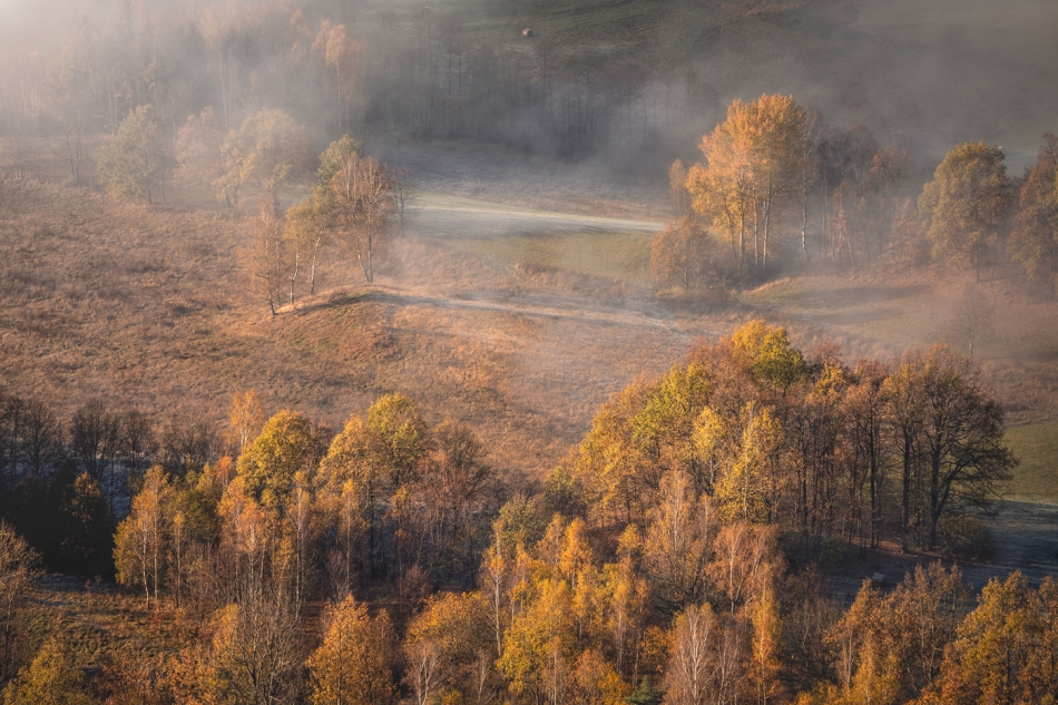 bonnieandclyde - An Autumns Tale.... . Zdjęcie 324823