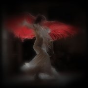 flamenco ángel