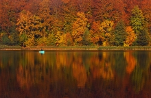 z jesienią w tle