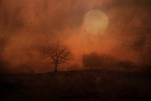 Red December ...