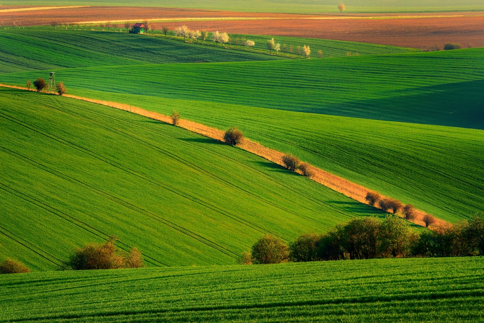 . . Zdjęcie 127096