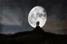 The Owl