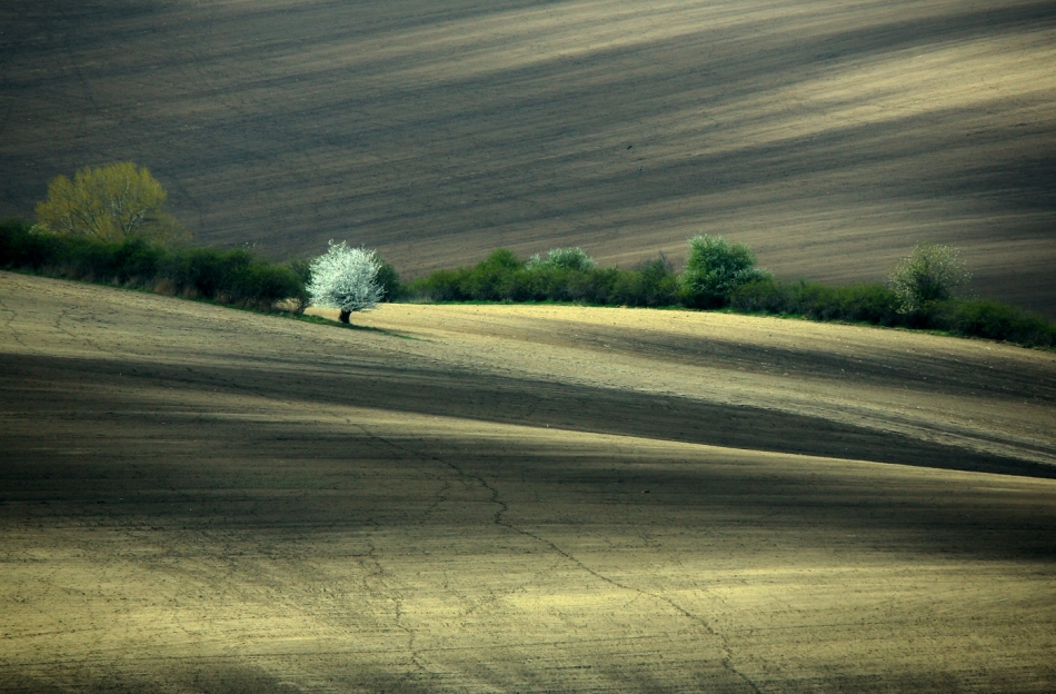 mariusz_je - . . Zdjęcie 332619