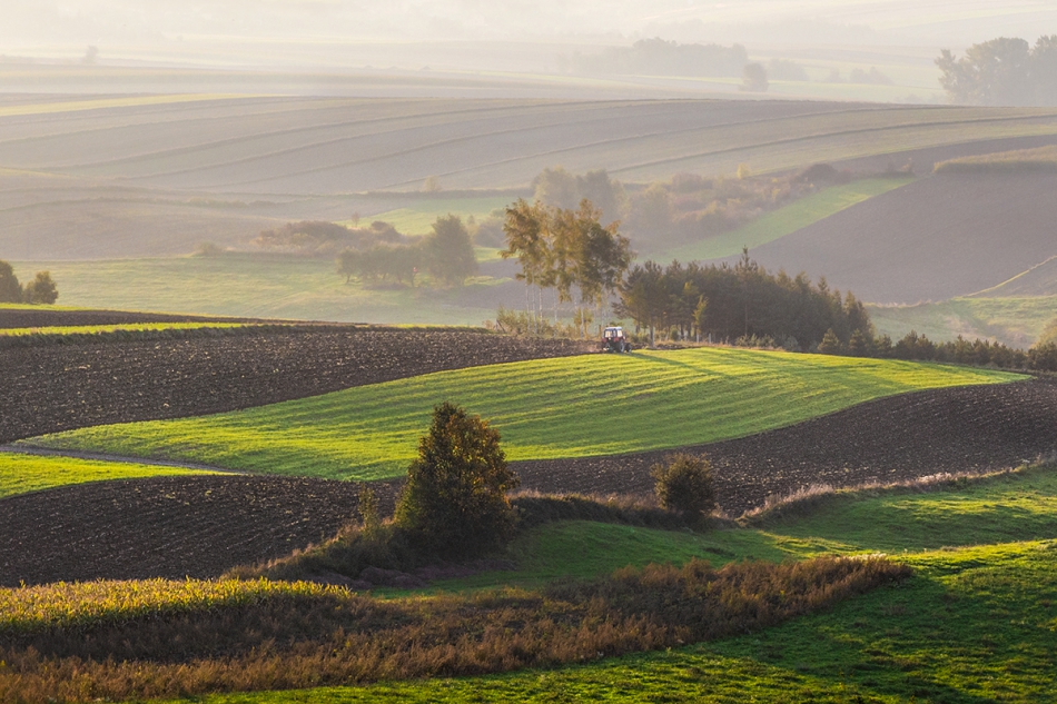 akrims - . . Zdjęcie 260621