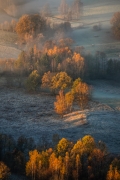 For the Love of Autumn...