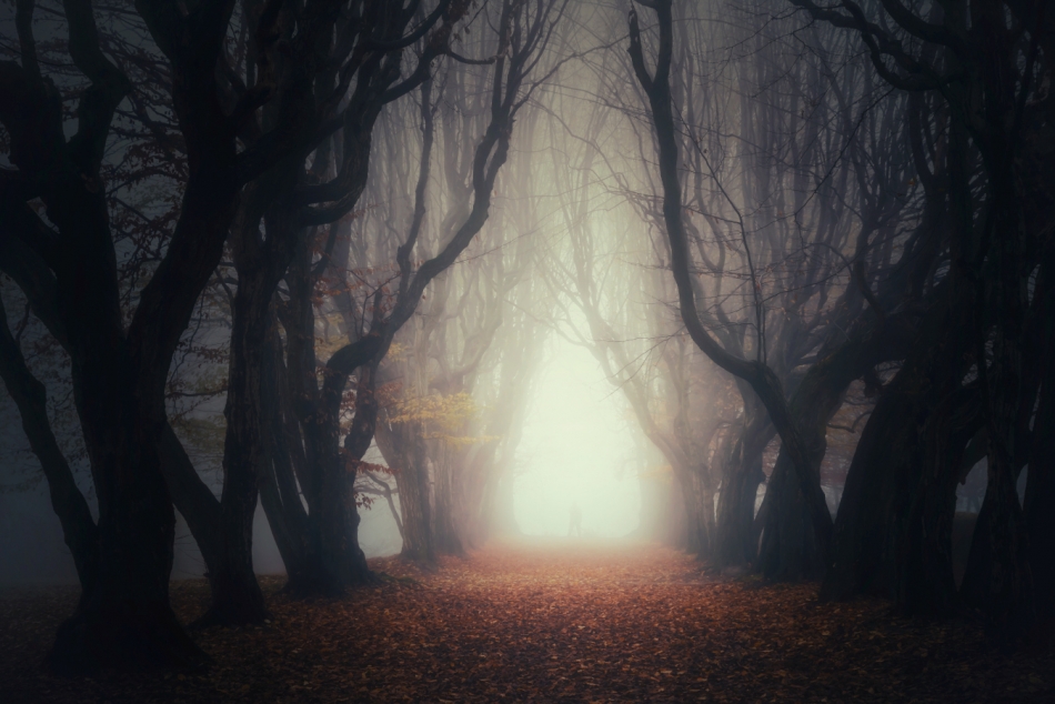 .... . Zdjęcie 336833