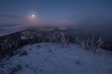 in the moonlight