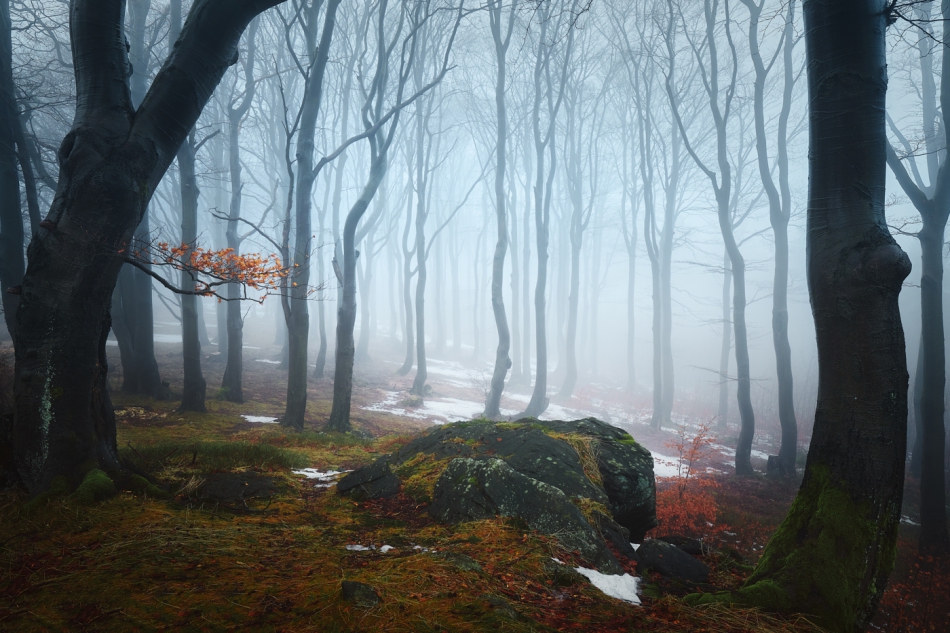 shooter76 - Zdjęcie autorstwa shooter76. . Zdjęcie 298374