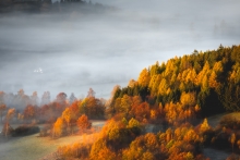 Autumn Deluxe...