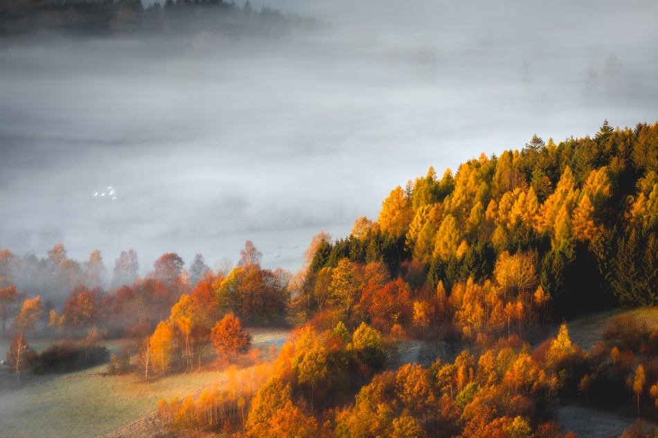 bonnieandclyde - Autumn Deluxe.... . Zdjęcie 335693
