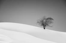 Loneliness