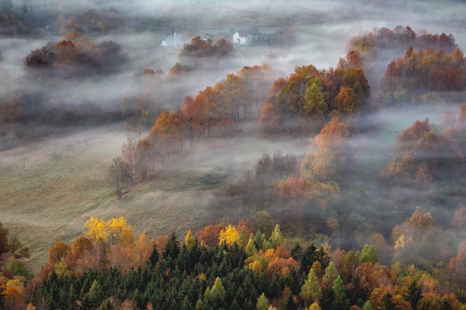 bonnieandclyde - Cold Misty Morning.... . Zdjęcie 322360