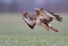 On approach...