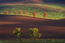 Morawski klasyk.