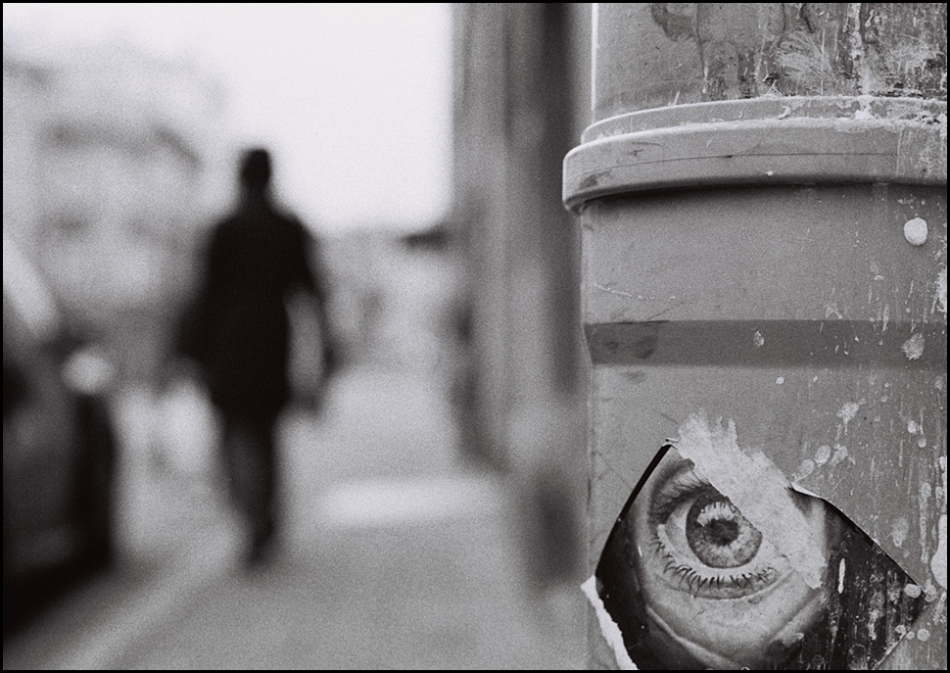 leo - podgląd. ...oko-liczności  Praktica MTL5 Pentacon 50 FP4 skan z negatywu . Zdjęcie 209883