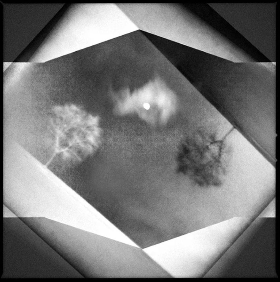 nowikowa - moje, Twoje, nasze paranoje. https://www.youtube.com/watch?v=N9A_bDa4cOU&list=RDN9A_bDa4cOU&start_radio=1. Zdjęcie 337368