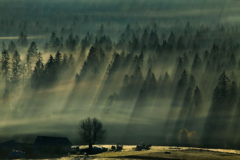 mariusz_je - . . Zdjęcie 308929