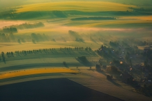 The Essence Of Spring
