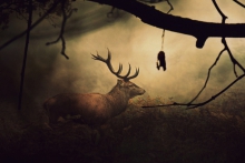 October Rust...