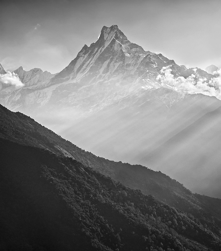 brolli - Rybi Ogon . Machapuchre - 6993 m.n.p.m. Nepal.. Zdjęcie 116344