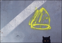 Graficiarz