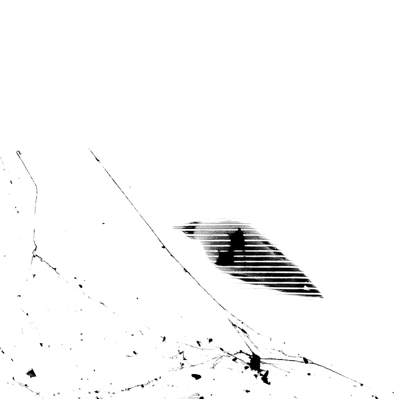 wojciech - ***. PE !. Zdjęcie 65927