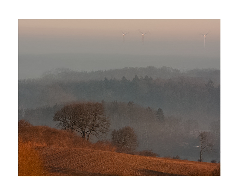 piotr_m - . . Zdjęcie 258426